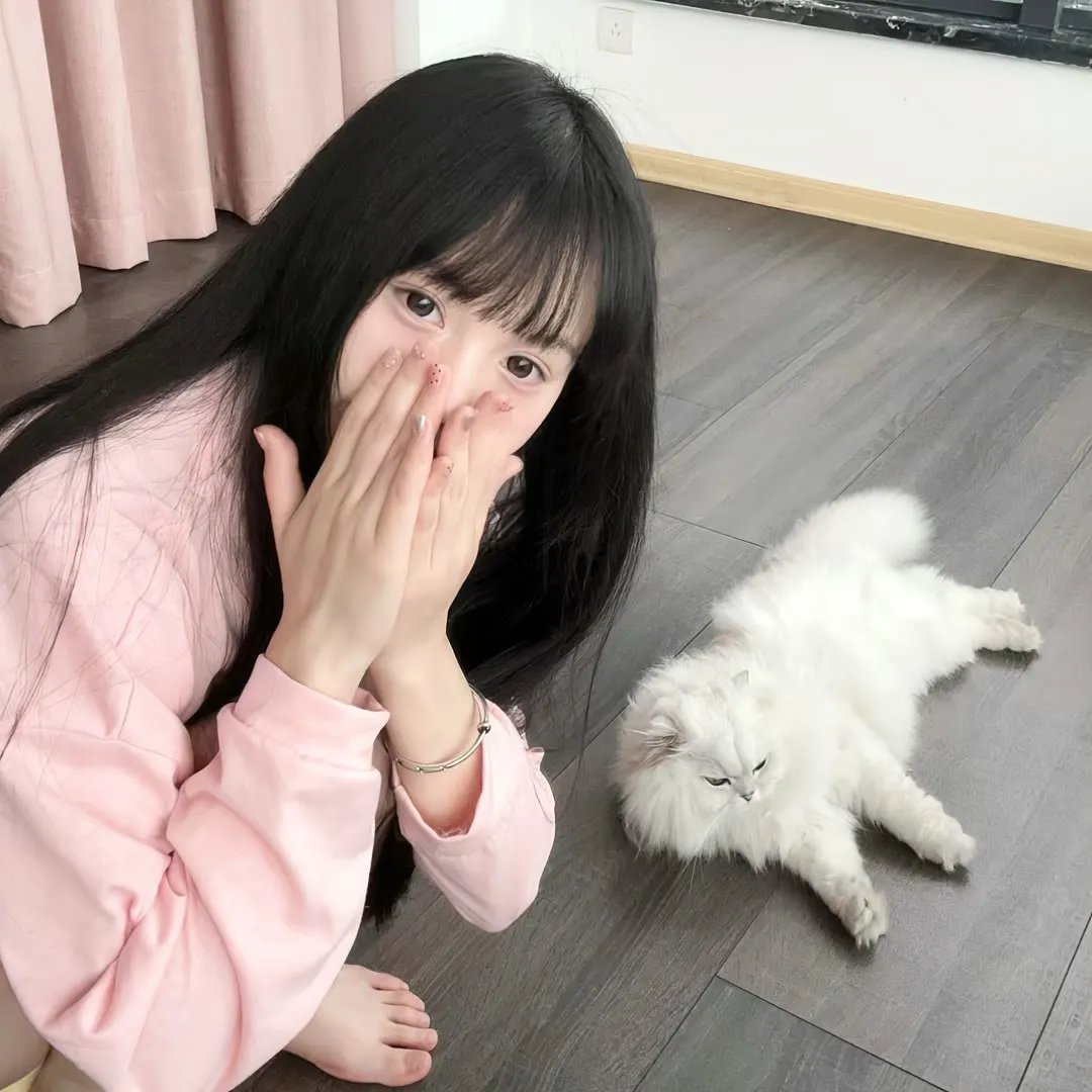 无声的世界