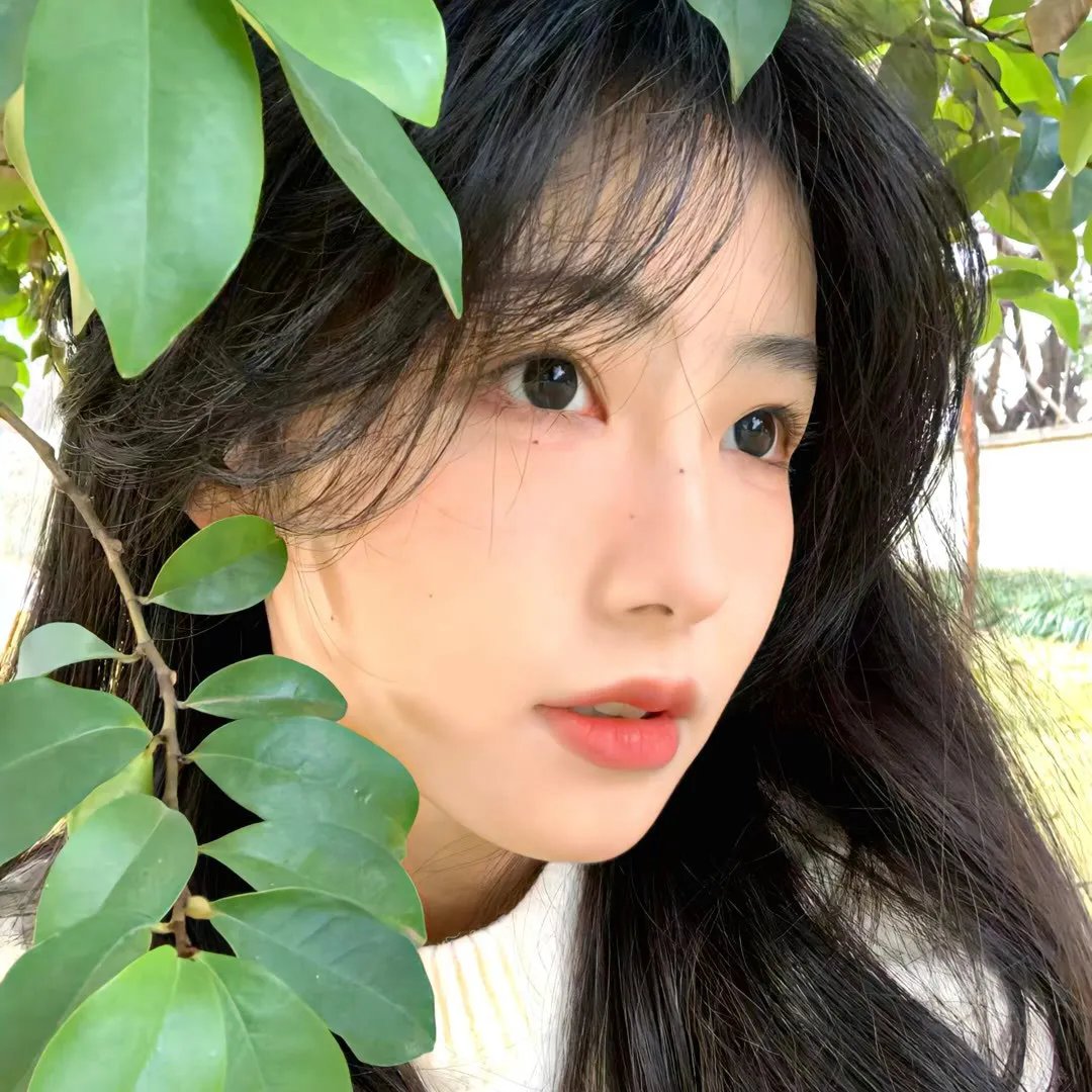 最新高清